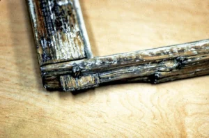 Expert RHS heritage joiner carefully treating wood rot and restoring a traditional wooden Sash Window Repair in Gibraltar's historic Upper Town.